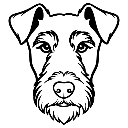 Wire Fox Terrier Sketch Face - Digital File - XCS Friendly Digital My Custom Designs PDF