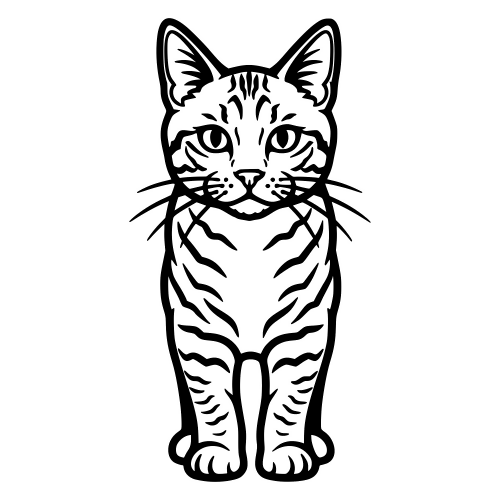 American Wirehair - Vector Graphics - Digital File Digital My Custom Designs PDF