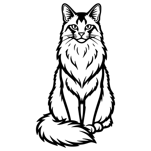 Somali Fluffy Cat Outline - Vector Graphics - Digital File Digital My Custom Designs PDF