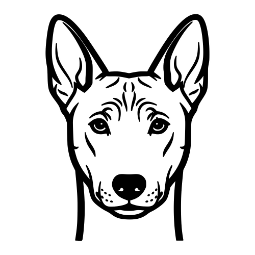 Basenji Face - Digital File - XCS Friendly Digital My Custom Designs PDF