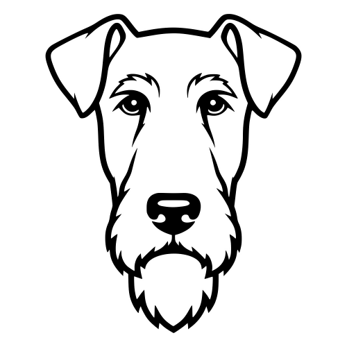 Airedale Terrier Face - DIgital File - XCS Friendly Digital My Custom Designs PDF