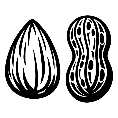 Almond and Peanut - Digital File - XCS Friendly Digital My Custom Designs PDF