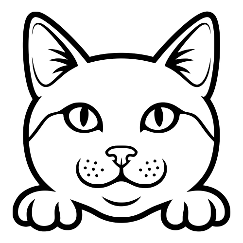 American Polydactyl Face - Vector Graphics - Digital File Digital My Custom Designs PDF