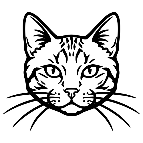 American Wirehair Face - Digital File - XCS Friendly Digital My Custom Designs PDF