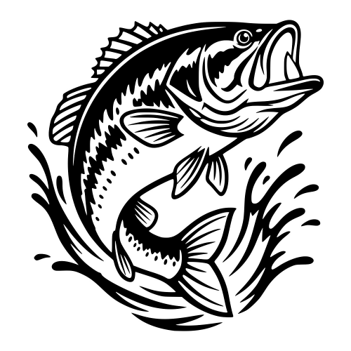 Bass Fish Illustration - Vector Graphics - Digital File Digital My Custom Designs PDF