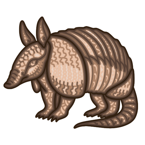 Armadillo - Layered Line Designs - Digital file Digital My Custom Designs ZIP File