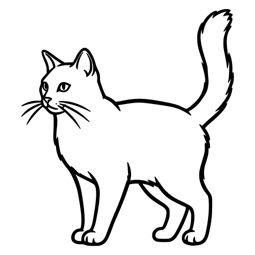Asian Semi-Longhair Outline - Digital File - XCS Friendly Digital My Custom Designs PDF