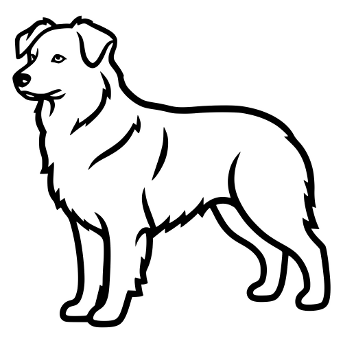 Australian Sheperd - Digital File - XCS Friendly Digital My Custom Designs PDF