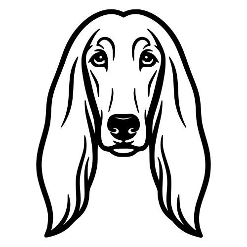 Afghan Hound Outline Face - Digital File - XCS Friendly Digital My Custom Designs PDF