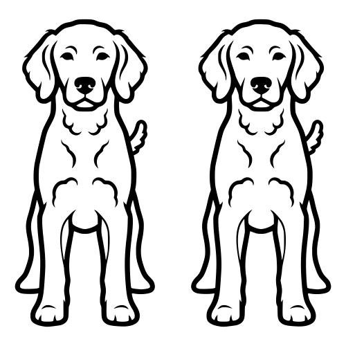Curly-Coated Retriever Outline - Digital File - XCS Friendly Digital My Custom Designs PDF