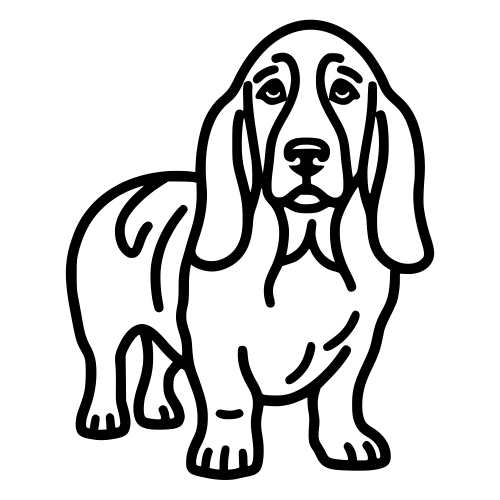 Basset Hound Ears Down - Digital File - XCS Friendly Digital My Custom Designs PDF