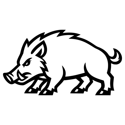 Boar Outline - Digital File - XCS Friendly Digital My Custom Designs PDF