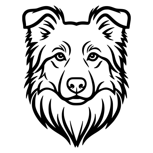 Border Collie Face - Digital File - XCS Friendly Digital My Custom Designs PDF
