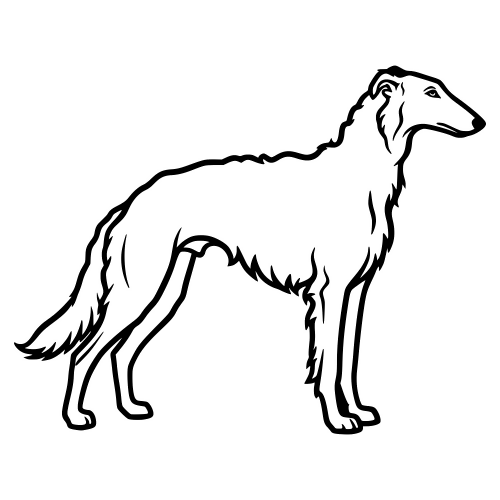 Borzoi Russian Wolfhound Sketch - Digital File - XCS Friendly Digital My Custom Designs PDF