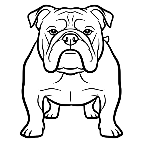 Bulldog Sketch - Digital File - XCS Friendly Digital My Custom Designs PDF