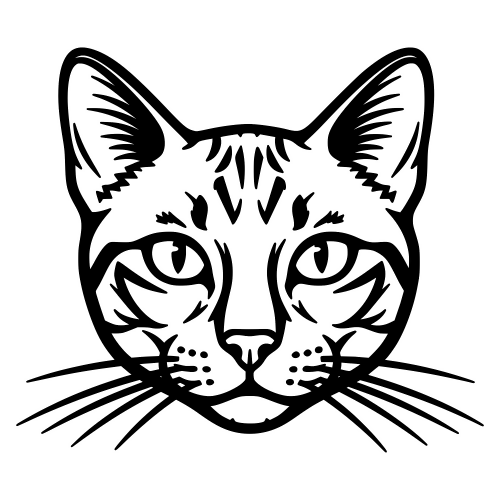 Colorpoint Shorthair Face - Digital File - XCS Friendly Digital My Custom Designs PDF