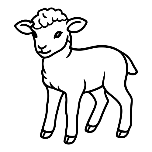Baby Lamb Sketch - Digital File - XCS Friendly Digital My Custom Designs PDF