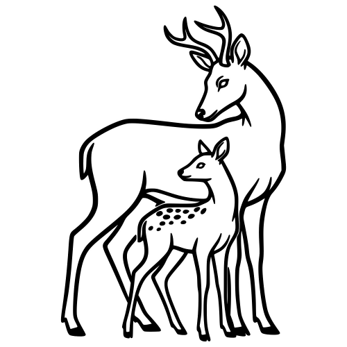 Doe and Fawn Outline Design - Digital File - XCS Friendly Digital My Custom Designs PDF