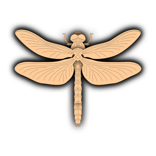 Dragonfly - Layered Animal Designs - Digital File Digital My Custom Designs SVG