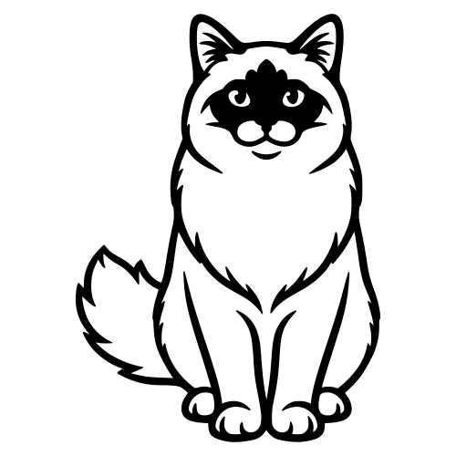 Birman Cat - Digital File - XCS Friendly Digital My Custom Designs PDF