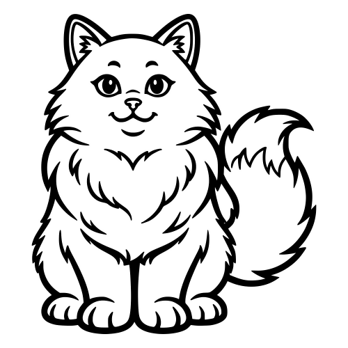 Ragamuffin Fluffy Cat Outline - Vector Graphics - Digital File Digital My Custom Designs PDF