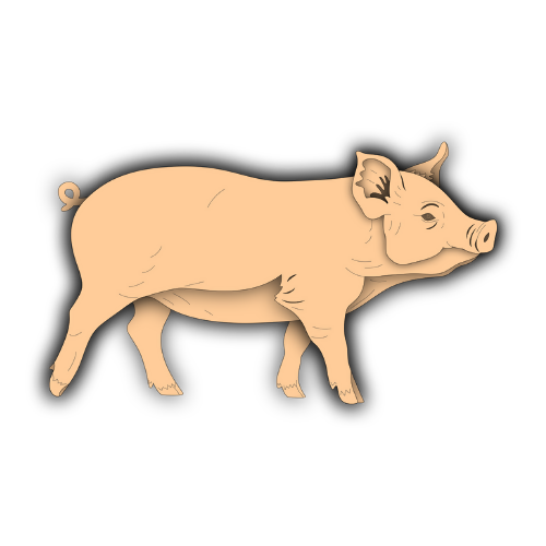 Pig - Layered Animal Designs - Digital File Digital My Custom Designs SVG