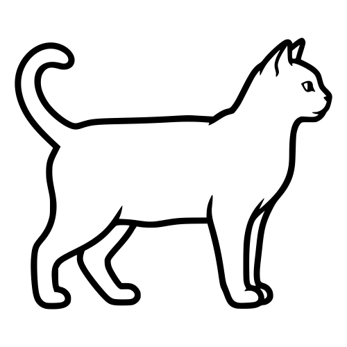 American Shorthair Outline - Digital File - XCS Friendly Digital My Custom Designs PDF