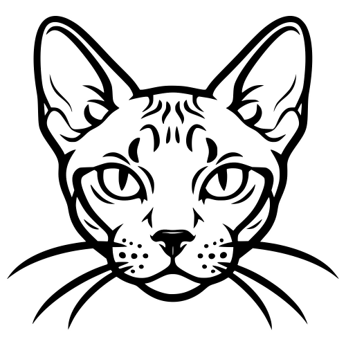 German Rex Face - Digital File - XCS Friendly Digital My Custom Designs PDF