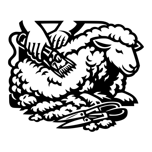 Sheep Shearing Illustration - Vector Graphics - Digital File Digital My Custom Designs PDF