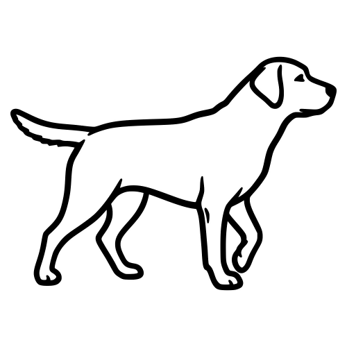 Golden Retriever Body Outline - Digital File - XCS Friendly Digital My Custom Designs PDF