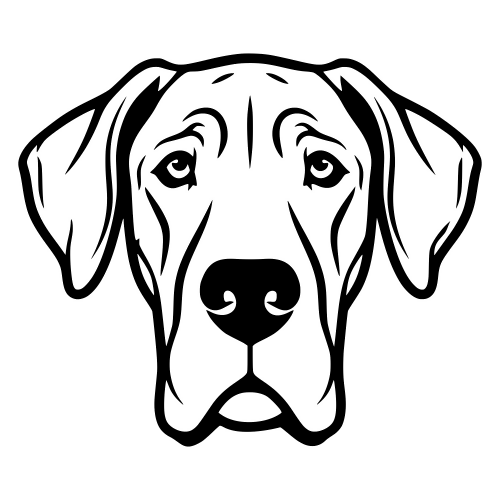 Great Dane Face - Digital File - XCS Friendly Digital My Custom Designs PDF
