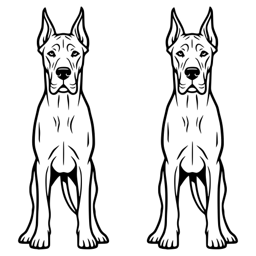 Great Dane Sketch - Digital File - XCS Friendly Digital My Custom Designs PDF