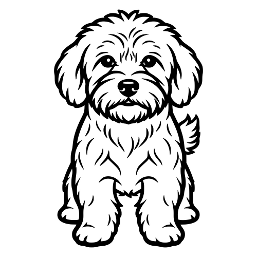 Havanese Dog - Digital File - XCS Friendly Digital My Custom Designs PDF