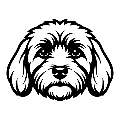 Havanese Dog Face - Digital File - XCS Friendly Digital My Custom Designs PDF