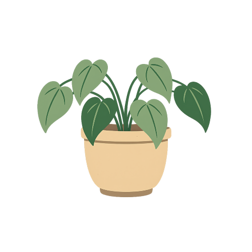 Heart-leaf Philodendron - Art & Aesthetics - T Shirt Designs - Digital File Digital My Custom Designs 300 DPI PNG