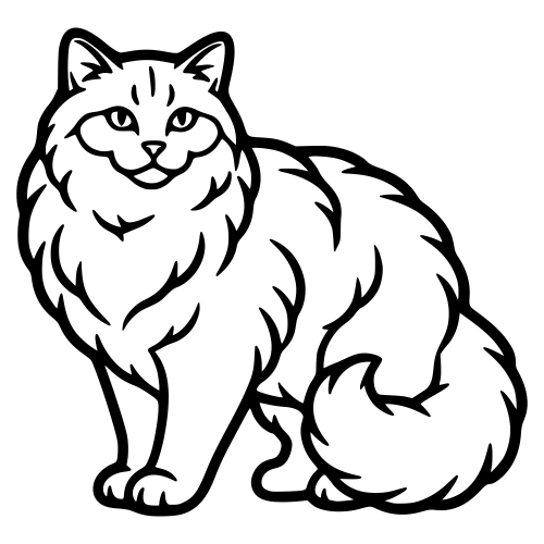 Himalayan Fluffy Sketch - Digital File - XCS Friendly Digital My Custom Designs PDF