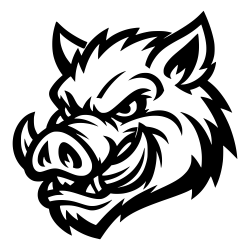 Hog Head Illustration - Vector Graphics - Digital File Digital My Custom Designs PDF
