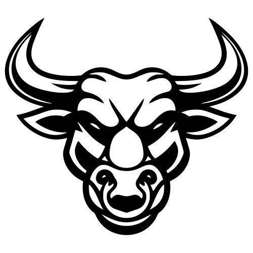 Bull Face Outline - Digital File -XCS Friendly Digital My Custom Designs PDF