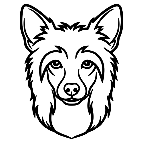 Chinese Crested Dog Face - Digital File - XCS Friendly Digital My Custom Designs PDF