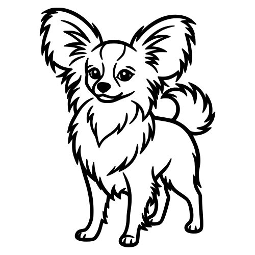 Papillon Cartoon - Digital File - XCS Friendly Digital My Custom Designs PDF