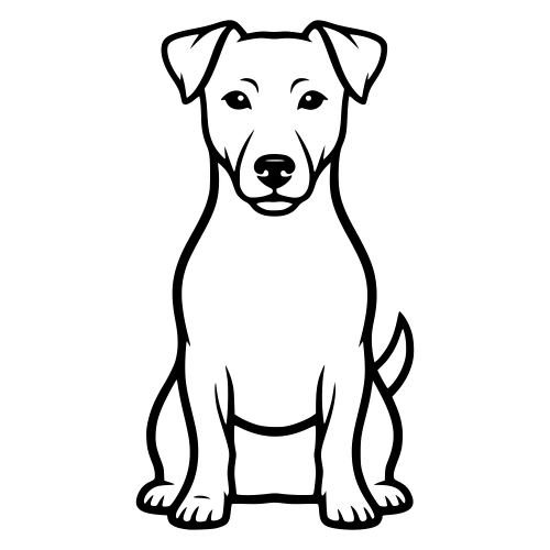 Jack Russell Terrier - Digital File - XCS Friendly Digital My Custom Designs PDF