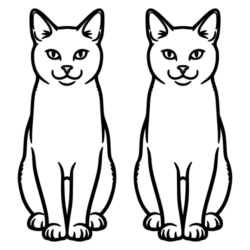 Russian White Cat Outline - Digital File - XCS Friendly
