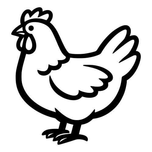 Hen Outline - Vector Graphics - Digital File