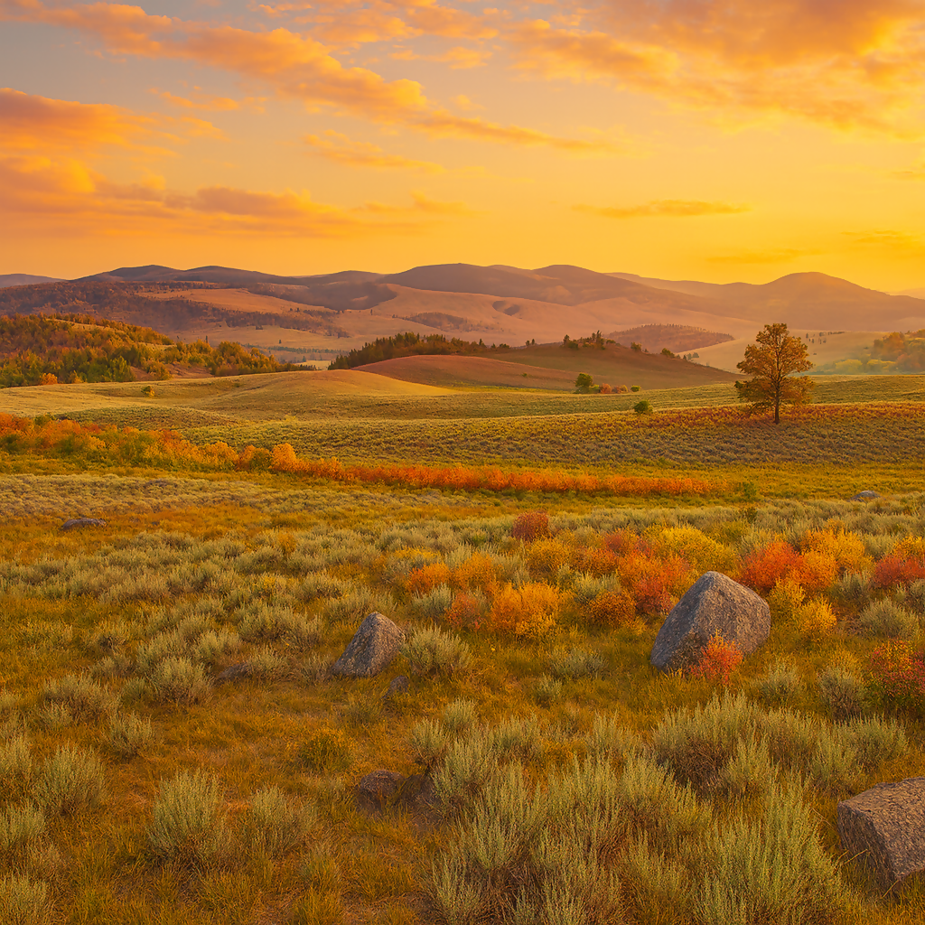 Lamar Valley-Yellowstone National Park-Wyoming United States - Rendered - Digital File Digital My Custom Designs PDF