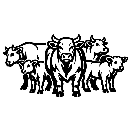 Cow Herd Outline - Vector Graphics - Digital file Digital My Custom Designs PDF