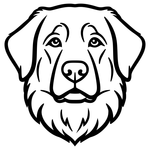 Leonberger Face - Digital File - XCS Friendly Digital My Custom Designs PDF