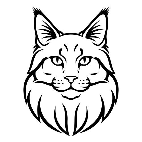 Maine Coon Face Outline - Digital File - XCS Friendly Digital My Custom Designs PDF