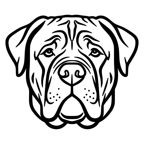 Mastiff Face - Digital File - XCS Friendly Digital My Custom Designs PDF