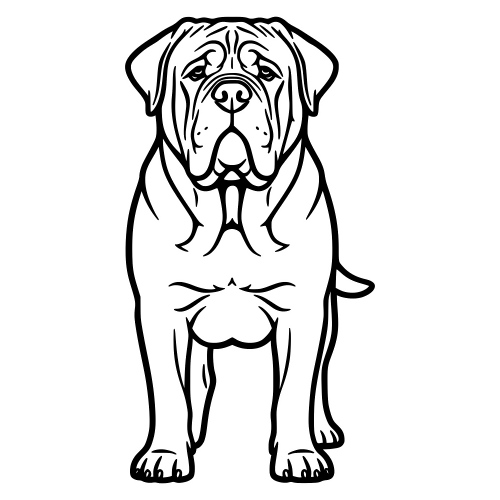 Mastiff Outline Whole Body - Digital File - XCS Friendly Digital My Custom Designs PDF