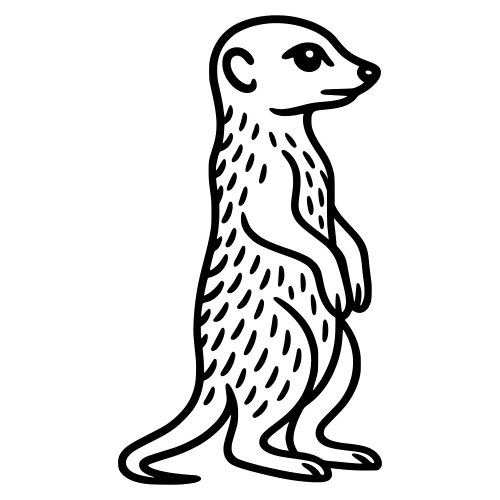 Meerkat Sketch - Digital File - XCS Friendly Digital My Custom Designs PDF